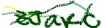 Código de verificación
